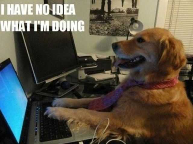 I have no idea what I'm doing I have no idea what I'm doing